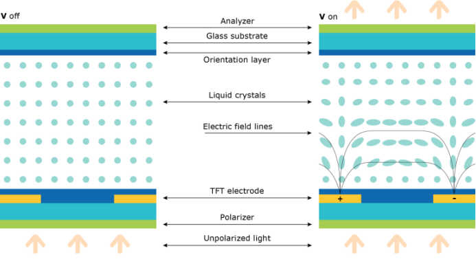 How LCD display size affects your visual experience