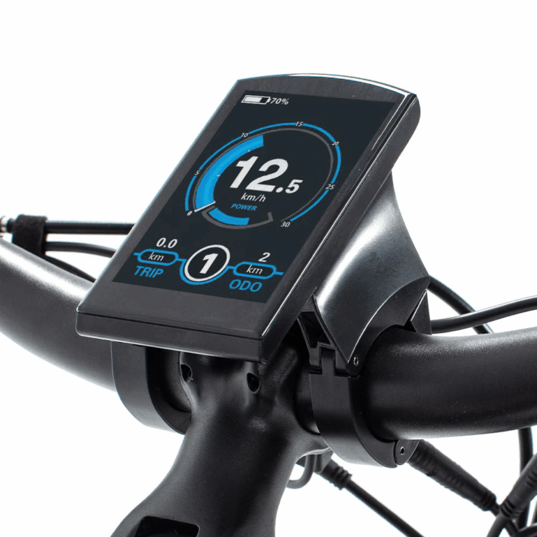 Ebike 1